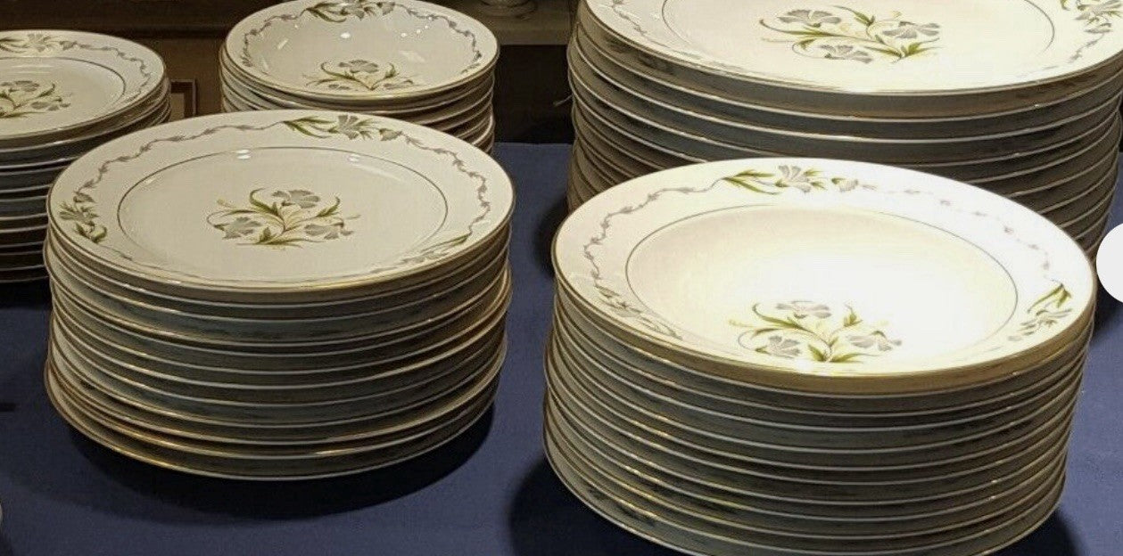 Vintage 93 Pcs Rosenthal Fantasia Fine China Dinner Set