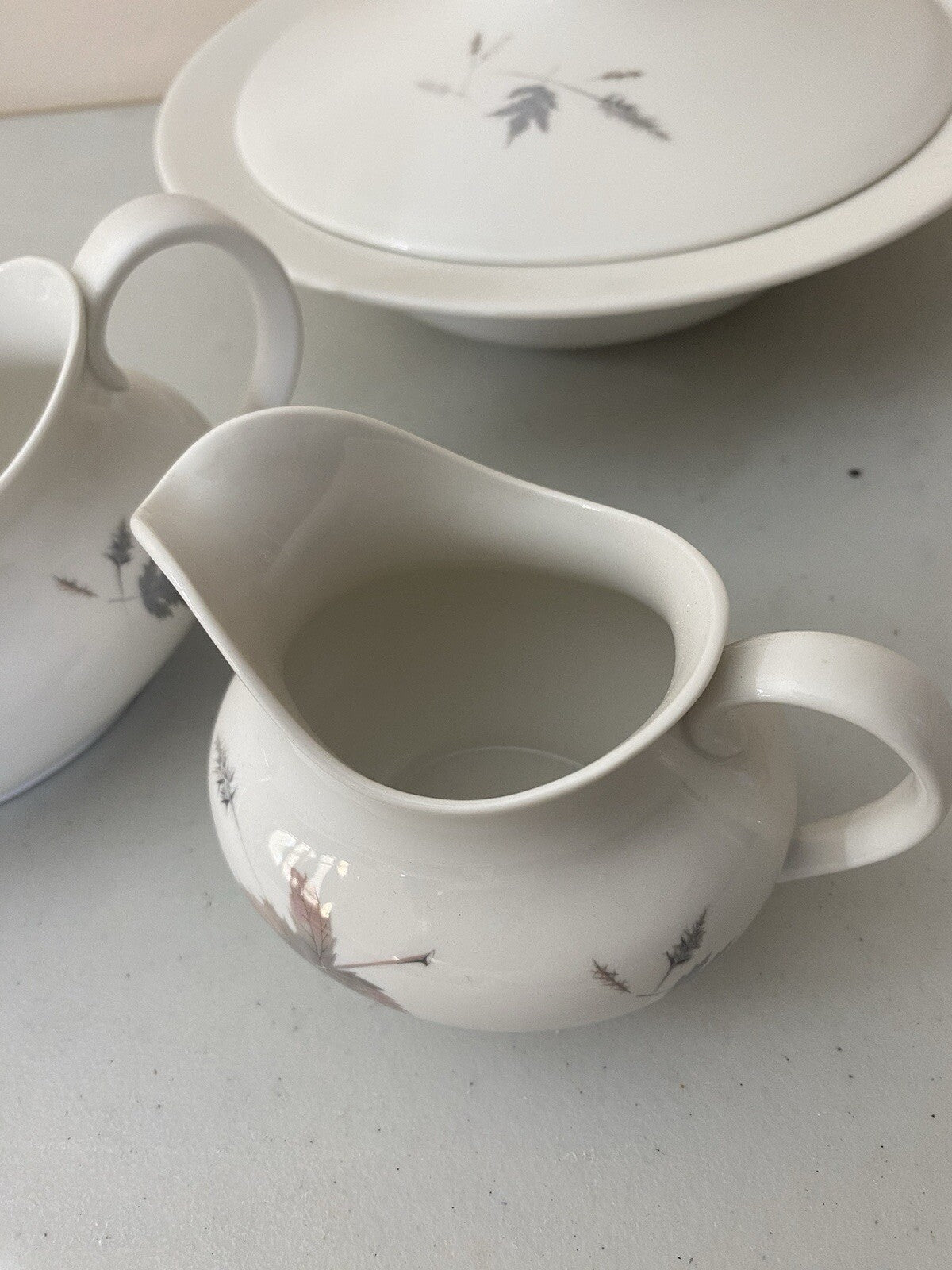 Dinner Set Royal Daulton Tumbling Leaves Fine China