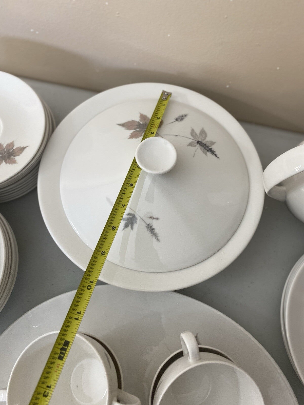 Dinner Set Royal Daulton Tumbling Leaves Fine China