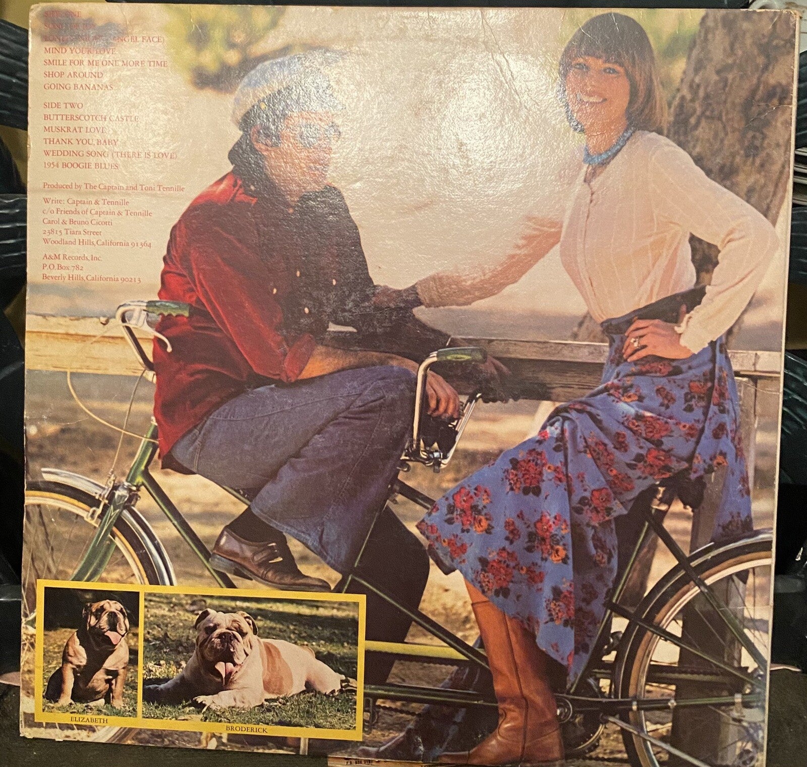 Captain And Tennille - Song Of Joy - A&M Records - SP-4570 - LP, Album, San 1517