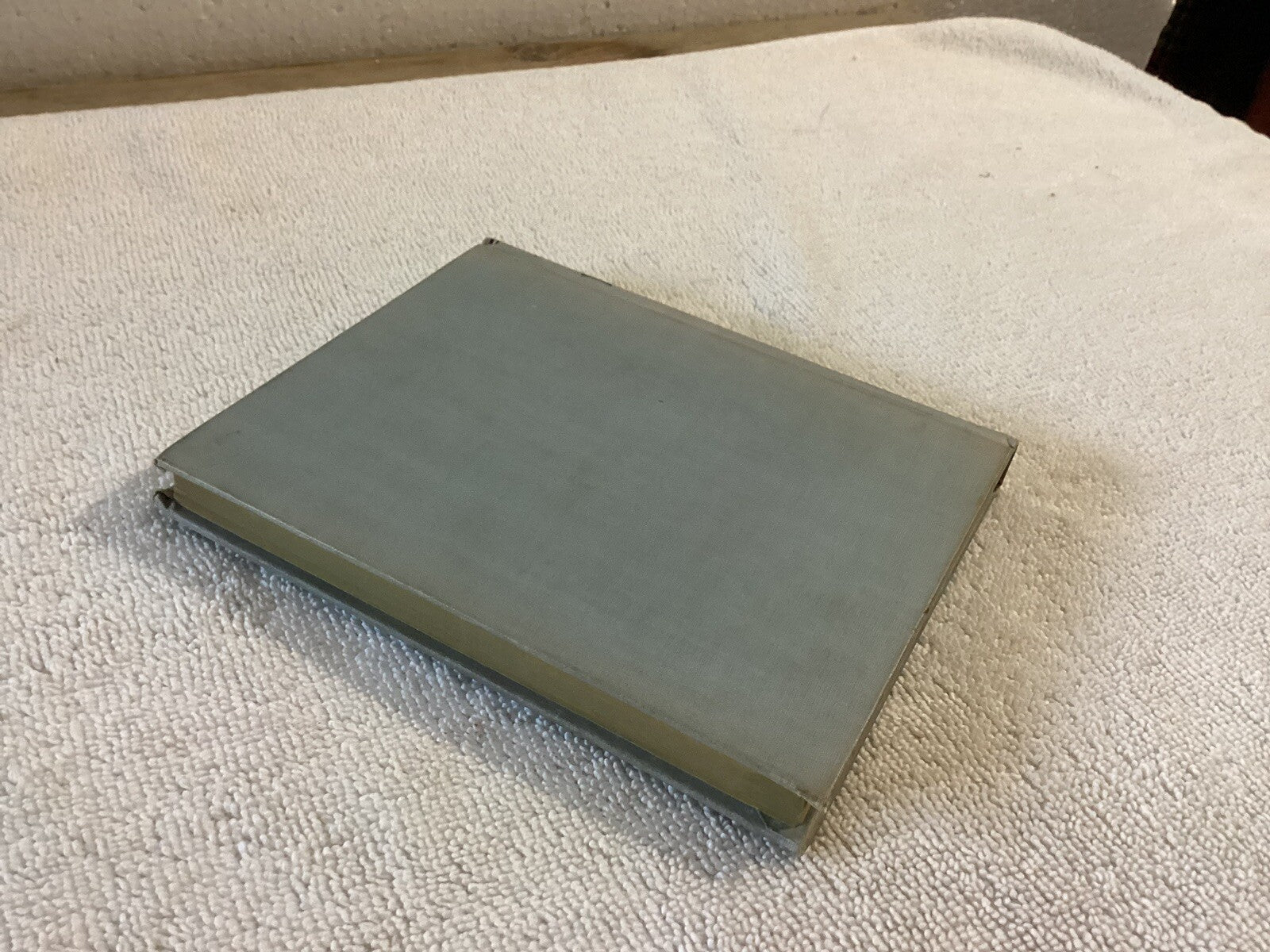 The Adventures of a Brownie by Miss Mulock Altemus 1898 (c) HC Illustrated VG!