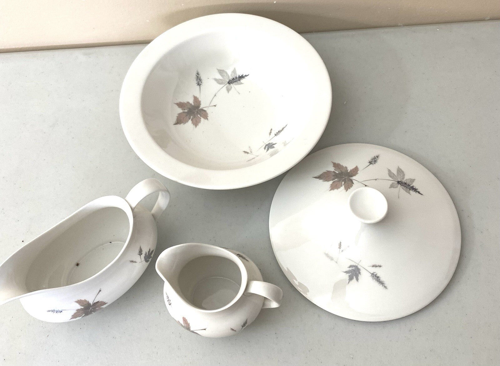 Dinner Set Royal Daulton Tumbling Leaves Fine China