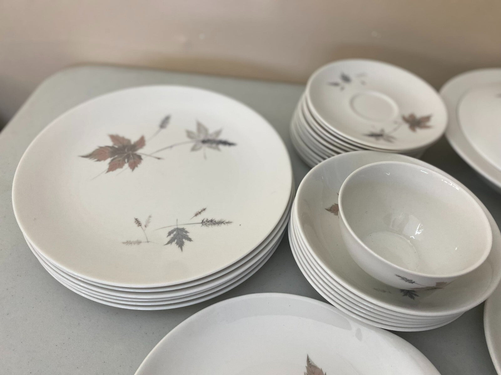 Dinner Set Royal Daulton Tumbling Leaves Fine China