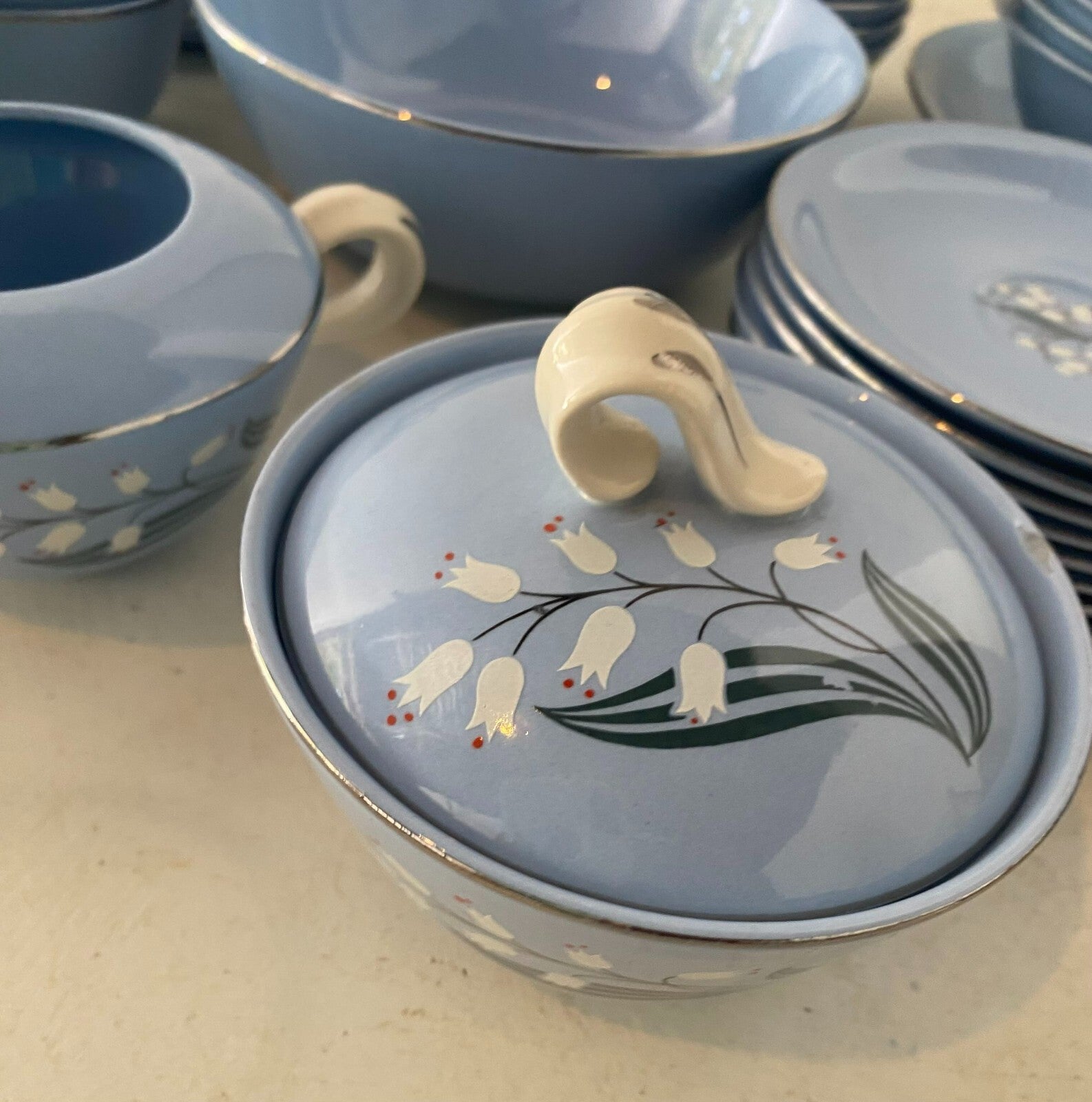 Skytone Pattern By Homer Laughlin Blue Floral China Set 51 Pcs For 8