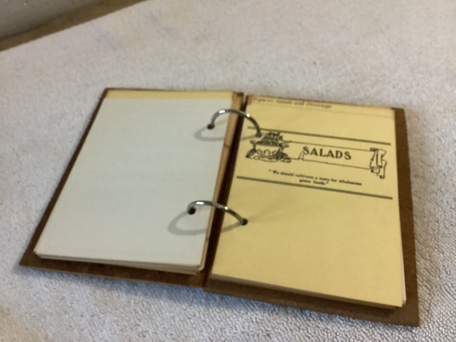 Sloans Cookbook And Advice To Housekeepers By Dr. Earl S. Sloan Ring Bound