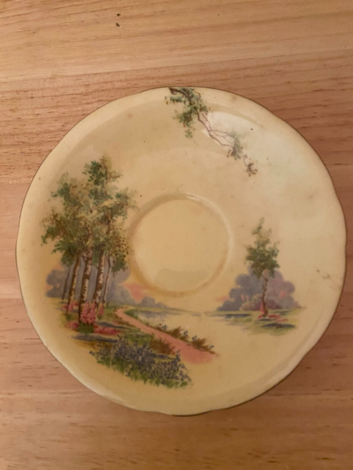Vintage Aynsley Bone China Blue Bell Time Woodland Tea Cup And Saucer