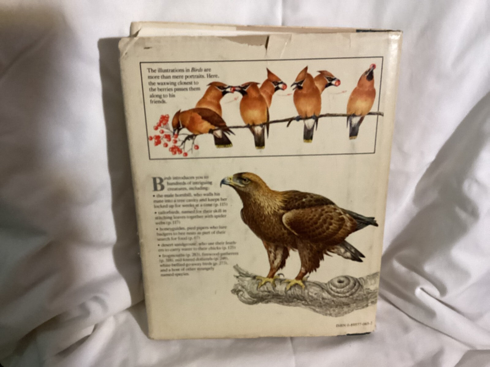Encyclopedia Of Birds Their Life Their Ways Their World By Christopher Perrins