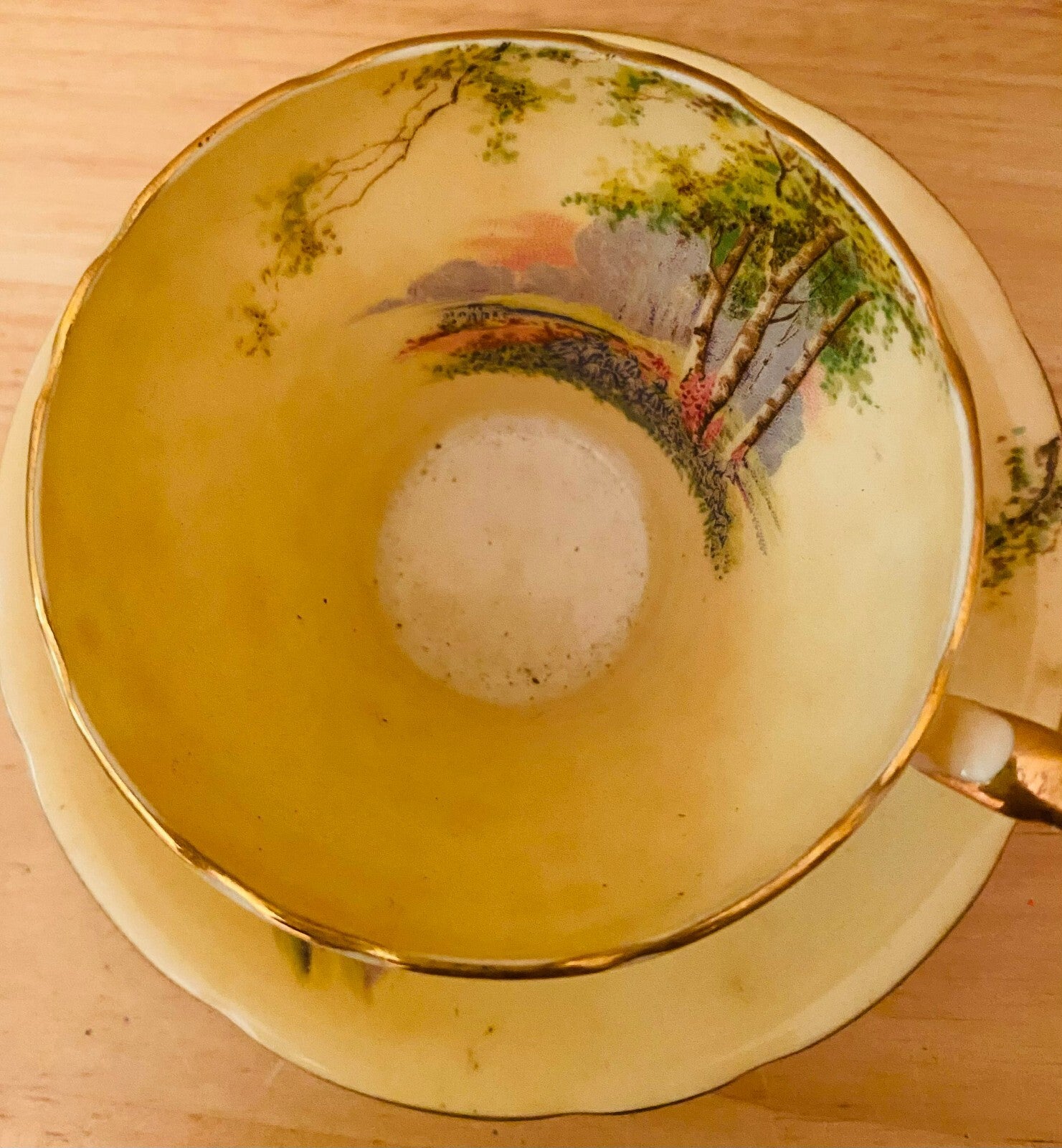 Vintage Aynsley Bone China Blue Bell Time Woodland Tea Cup And Saucer