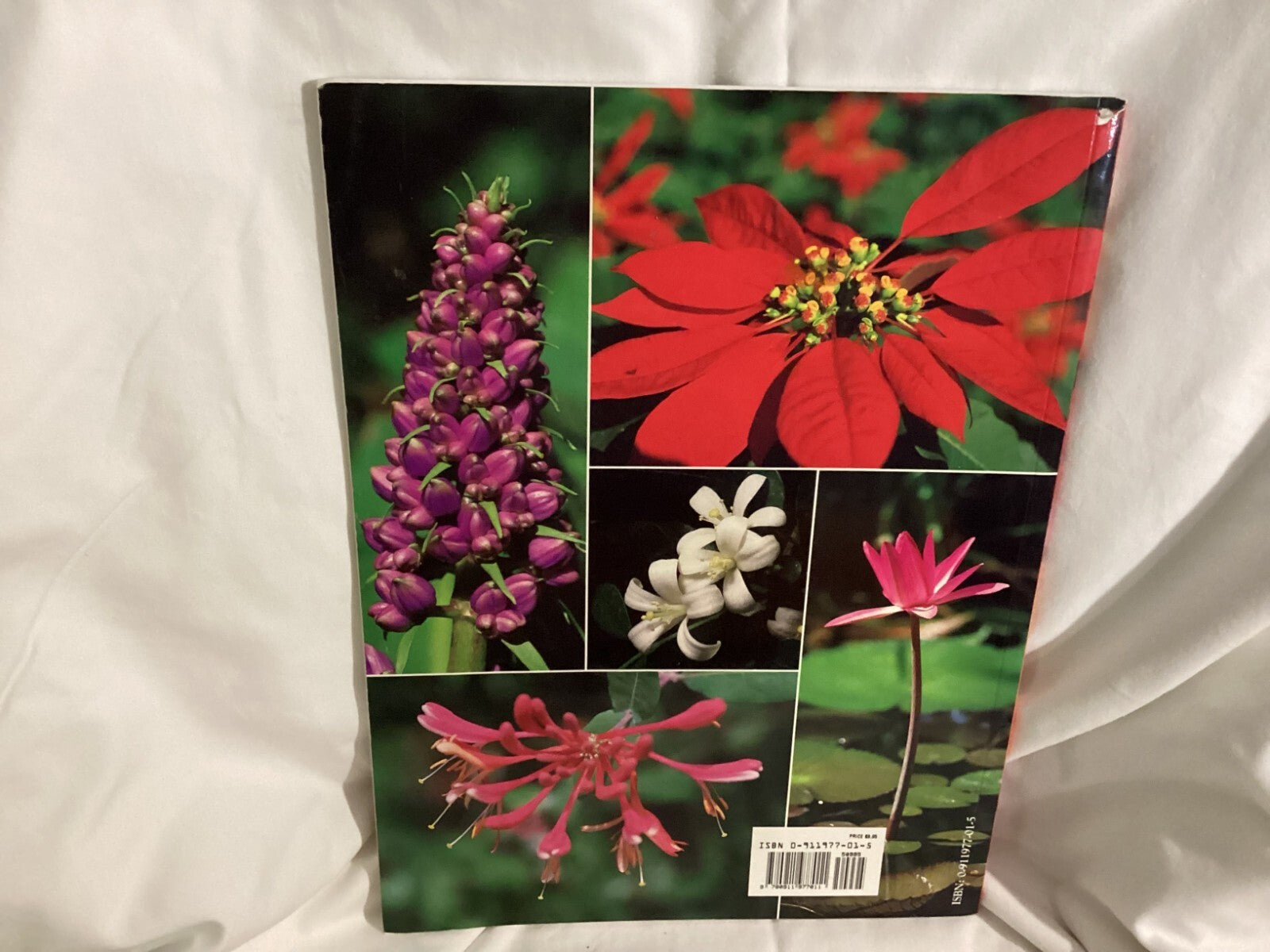 Florida's Fabulous Flowers - (Their Stories) Trade Paperback By Winston Williams