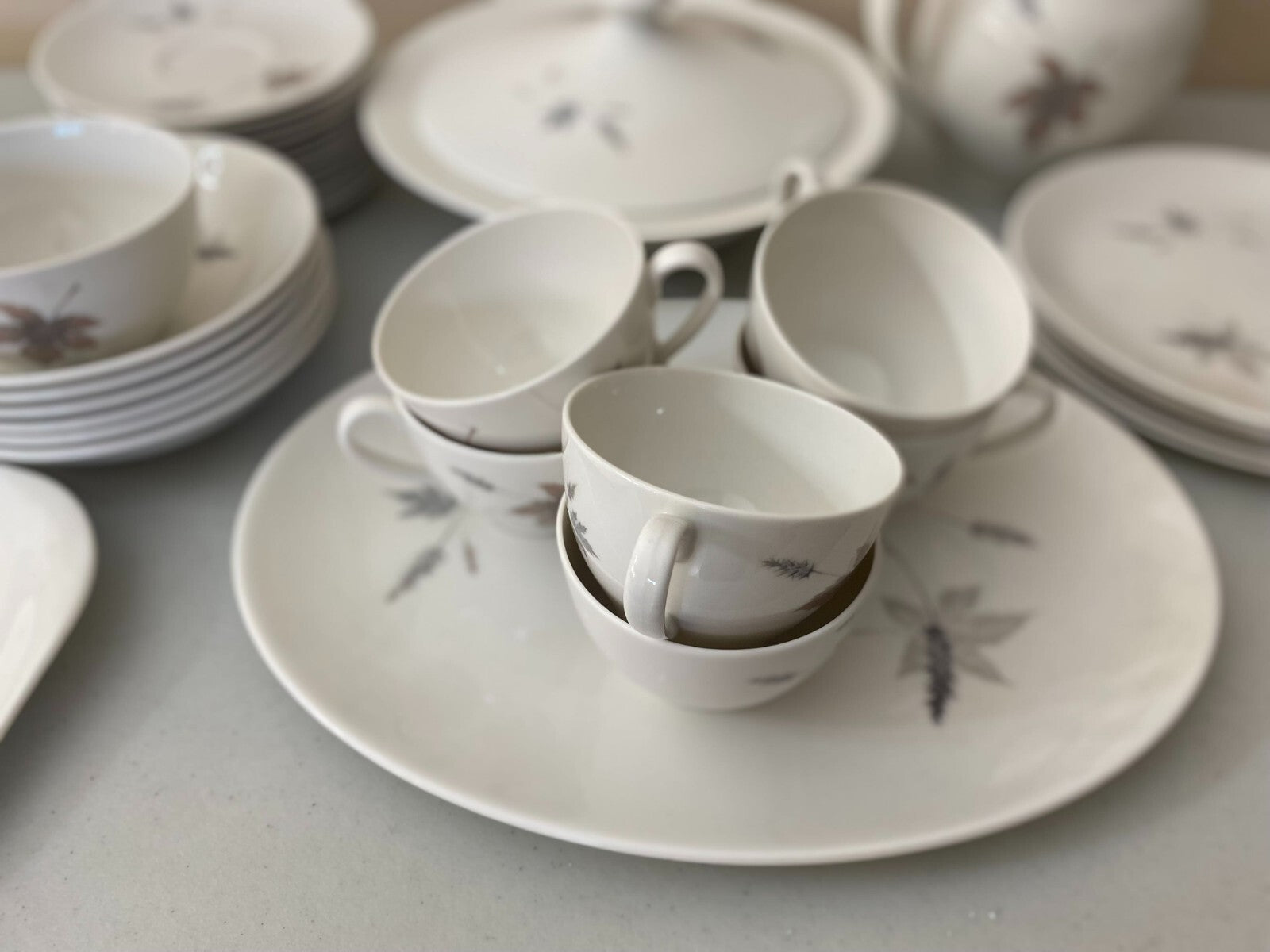 Dinner Set Royal Daulton Tumbling Leaves Fine China