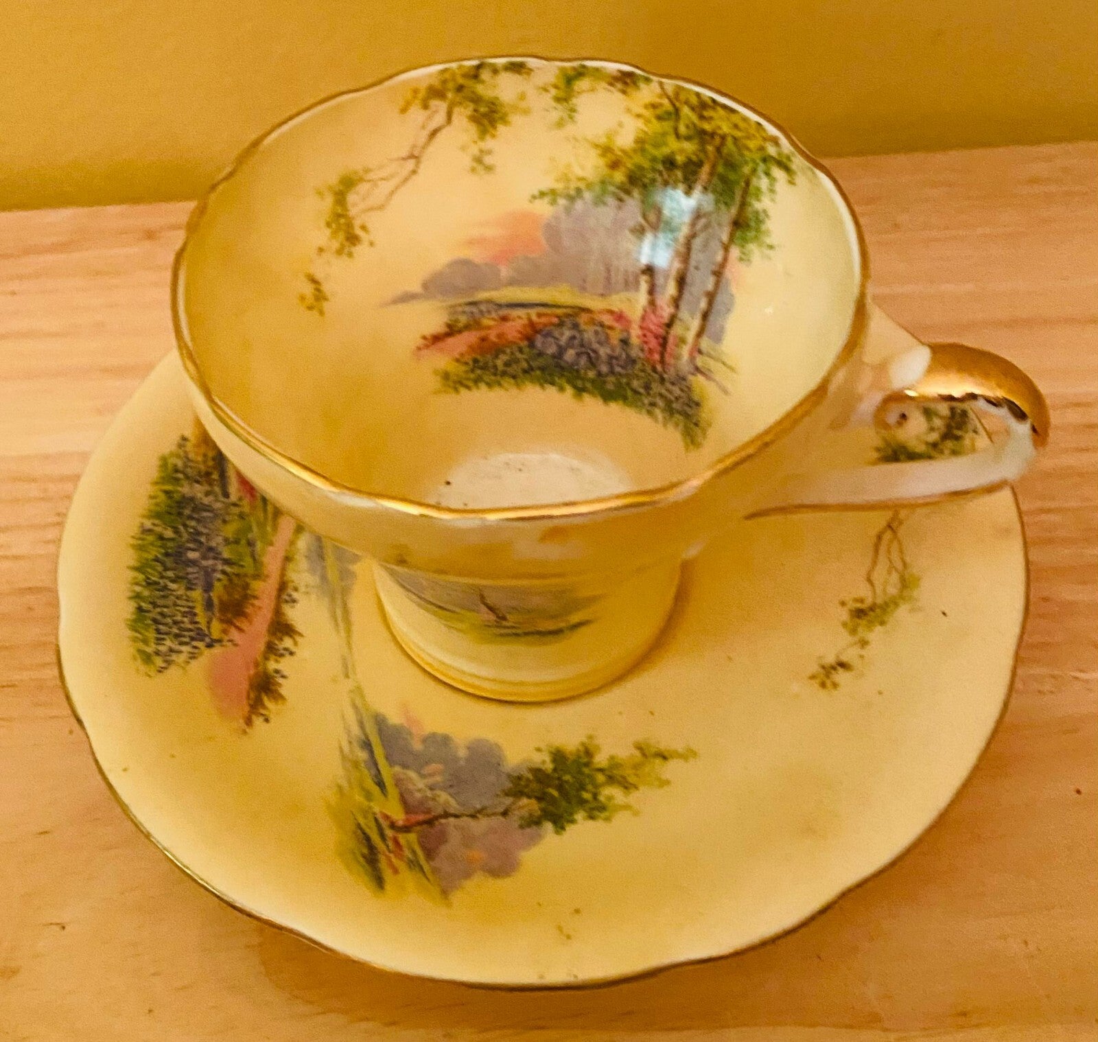Vintage Aynsley Bone China Blue Bell Time Woodland Tea Cup And Saucer
