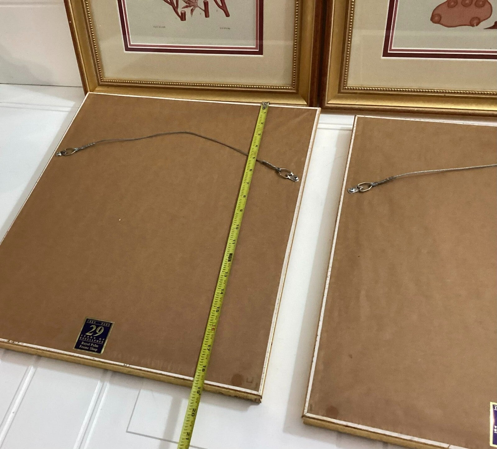 Set Of 4 Shade Of Coral In Gold Framed. Immaculate. All Numbered