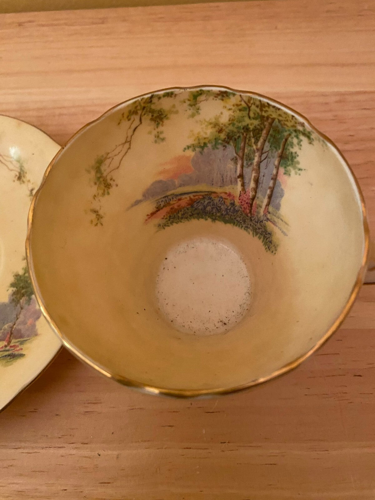Vintage Aynsley Bone China Blue Bell Time Woodland Tea Cup And Saucer