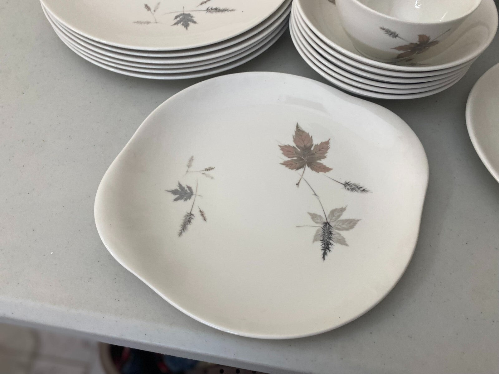 Dinner Set Royal Daulton Tumbling Leaves Fine China